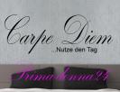 Wandtattoo Carpe diem 118cm x 42cm